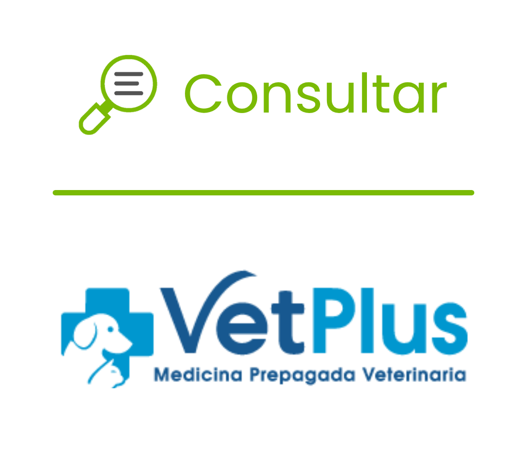 vet plus consultas
